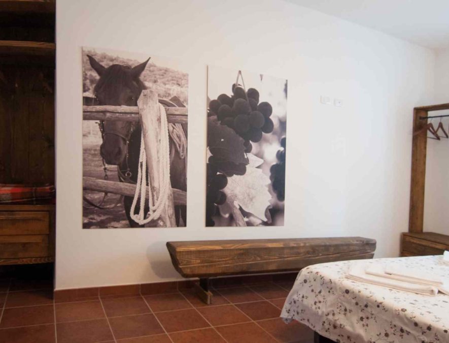 APP.5 CILIEGINO (10)
