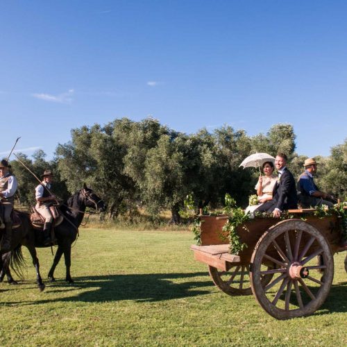agriturismo corte degli ulivi - ristorante e allestimenti (4)