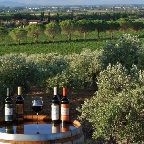 bottiglie-vigneti-1024x679-1
